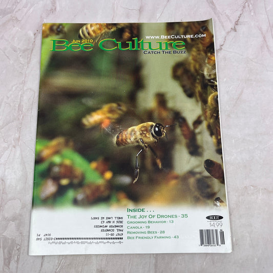 2010 June - Bee Culture Magazine - Bees Beekeeping Honey M32