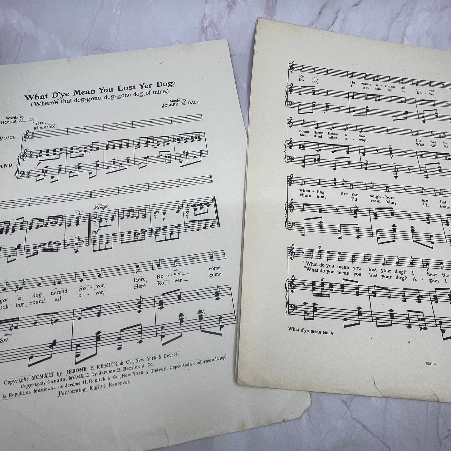 What D'ye Mean You Lost Yer Dog Thos S Allen 1913 Sheet Music V15