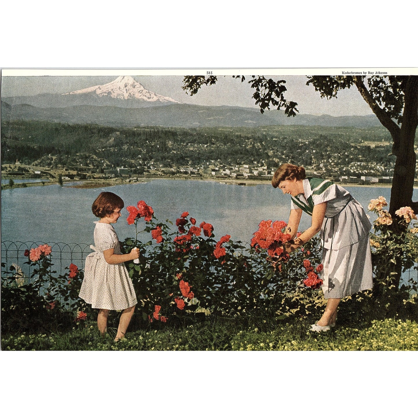 Retro Kitsch Mother & Daughter Picking Roses Mountain Vintage Art Print 7x10 V5