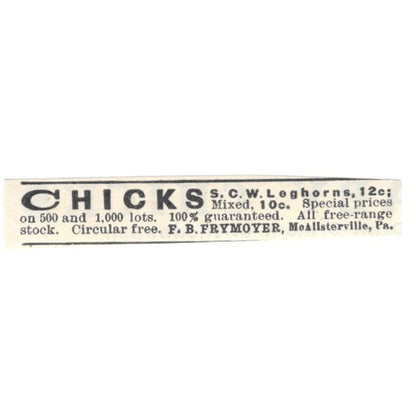 F.B. Frymoyer Leghorn Chicks McAlisterville PA 1924 Ad AG3-S9