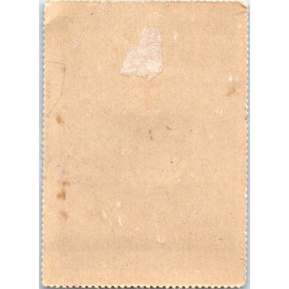 1930 400 Year Lutheran Confession Anniversary Commemorative Stamp AD7