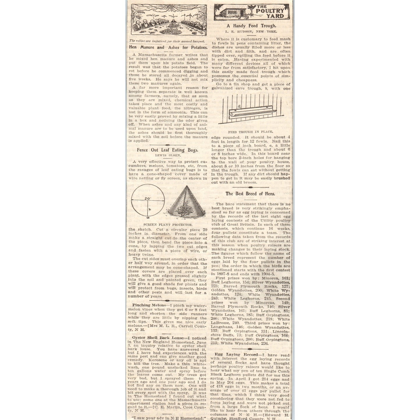 The Poultry Yard Chicken Hen Related Small Articles 1905 Magazine Ad FL6-11