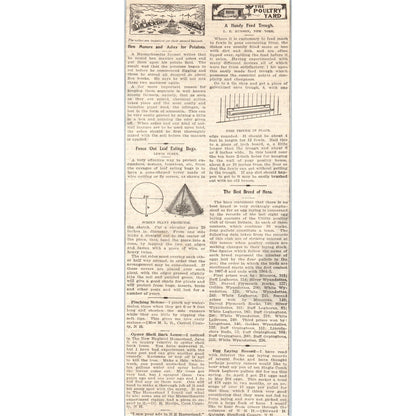 The Poultry Yard Chicken Hen Related Small Articles 1905 Magazine Ad FL6-11