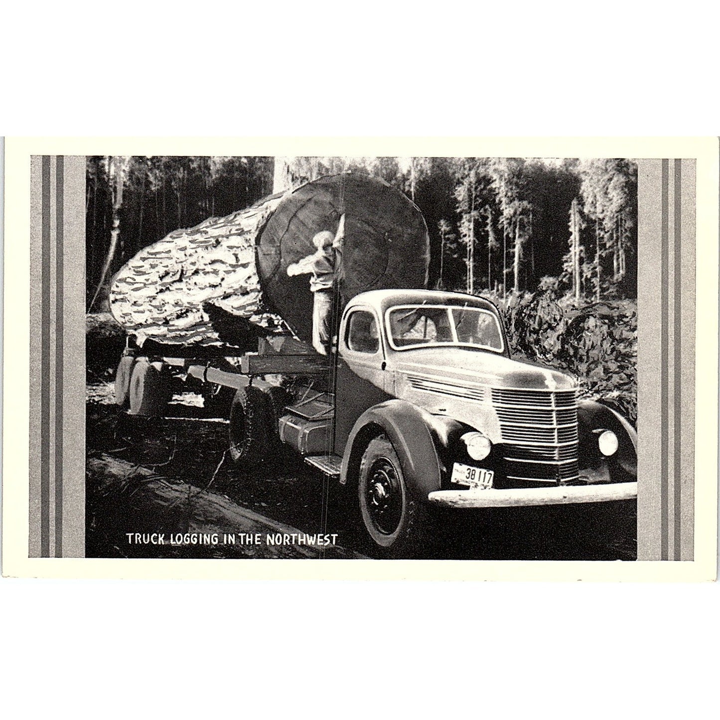 Truck Logging in the Northwest Lumberjacks Redwoods Vintage Postcard PE1