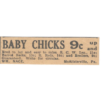 William Nace Baby Chicks McAlisterville PA 1922 Magazine Ad AF2-T1