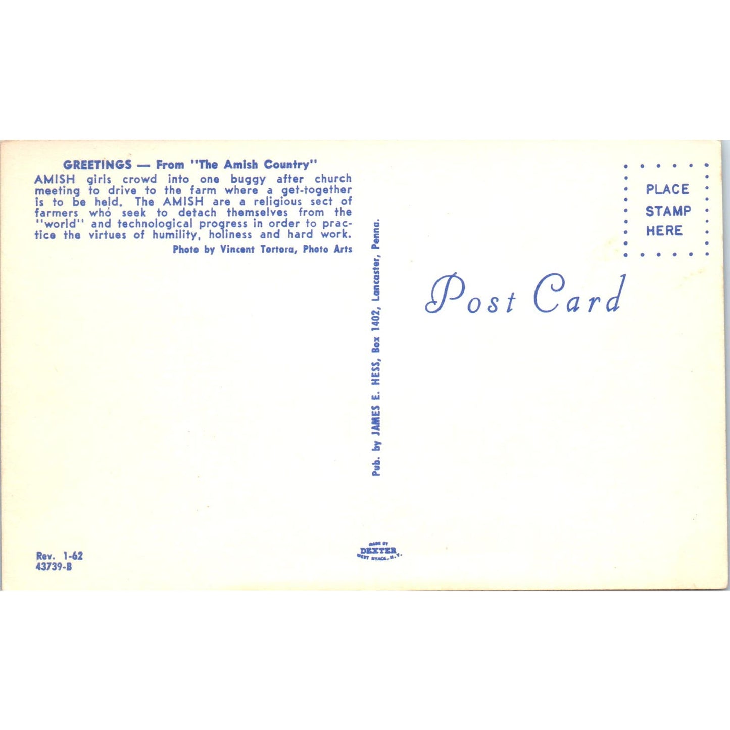 Amish Girls After Church in Buggy Pennsylvania Dutch Country Postcard PD7