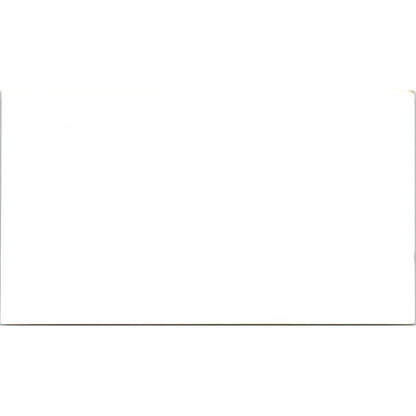 Stephanie H. Wilson Holiday Inn Houston TX Vintage Business Card SE3-B1