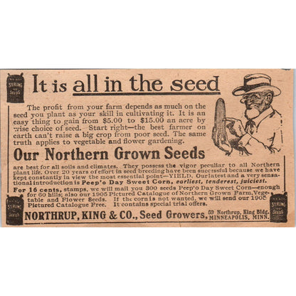 Northrub, King & Co Seed Growers Minneapolis MN 1905 Magazine Ad AF1-NH4