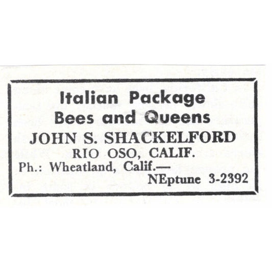 Italian Package Bees John S. Shackelford Rio Oso CA 1964 Magazine Ad AK6-S15