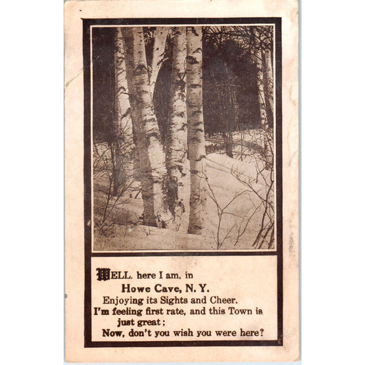 1910 Howe Cave New York Souvenir Postcard PC8