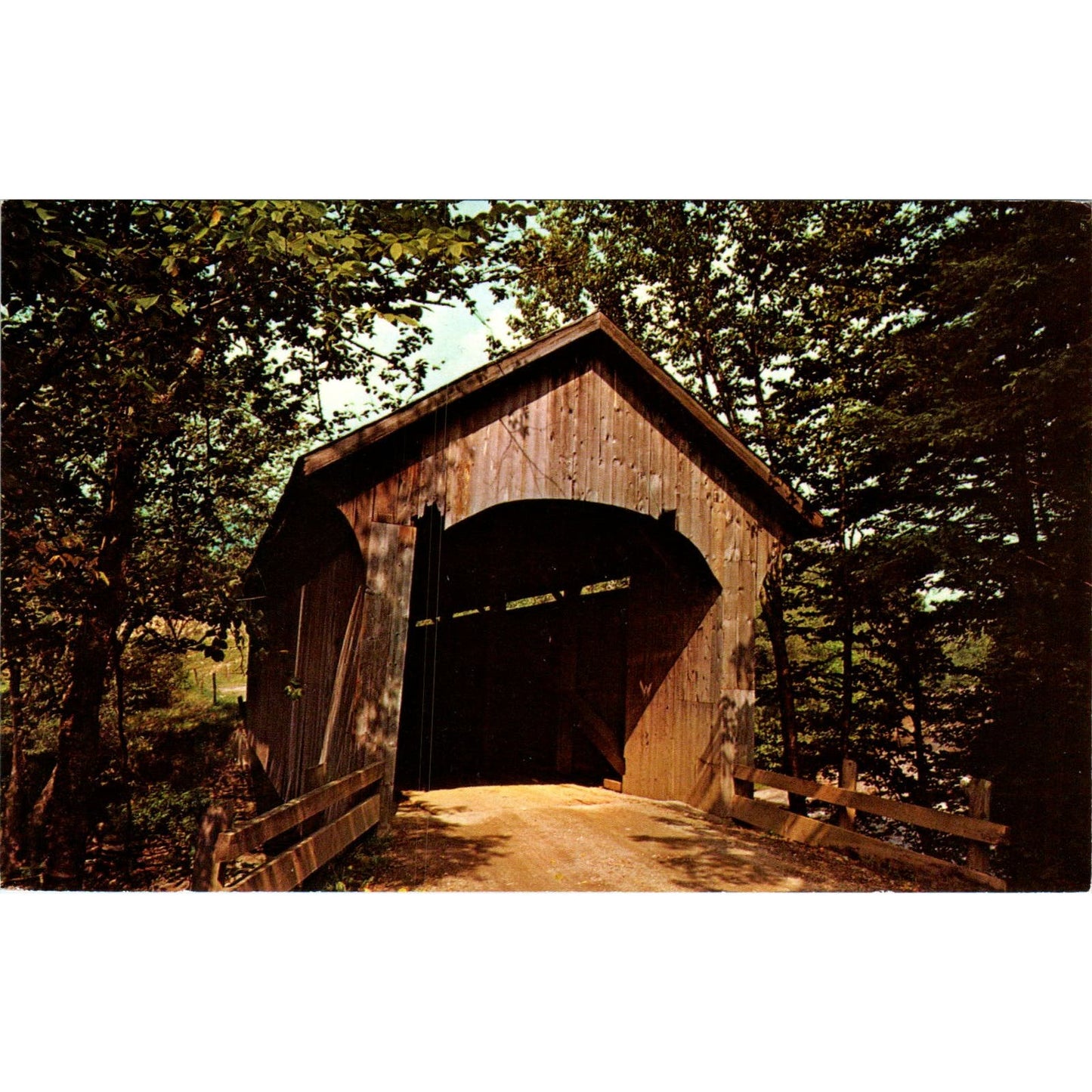 Covered Bridge Belvidere & Cambridge Junction VT Vintage Postcard PD6