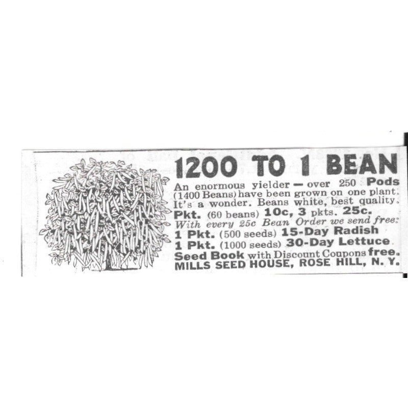 Mills Seed House Beans White Best Quality Rose Hill NY 1936 Ad SAG4-S12