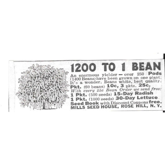 Mills Seed House Beans White Best Quality Rose Hill NY 1936 Ad SAG4-S12