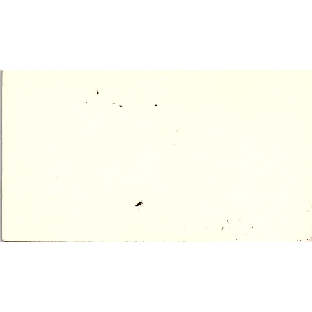 Big M Engine Inc Frank Mistretta Houston TX Vintage Business Card SD9-B13