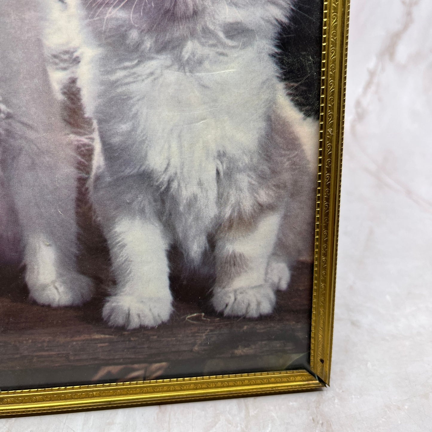 Vintage Kitschy Framed Picture of 2 White Kittens Cats 7x9" Ti5