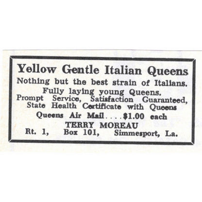 Yellow Gentle Italian Queens Terry Moreau Simmesport LA 1964 Magazine Ad AB6-S15