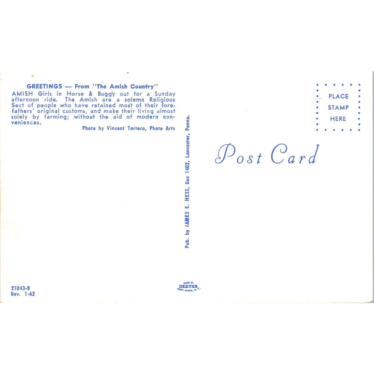 Amish Girls in Horse & Buggy Pennsylvania Dutch Country Postcard PD8