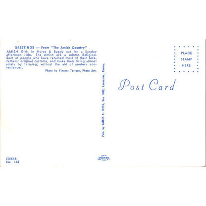 Amish Girls in Horse & Buggy Pennsylvania Dutch Country Postcard PD8