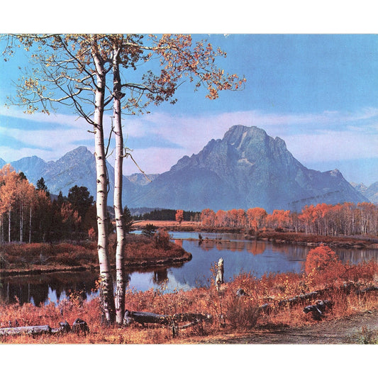 Retro Kitsch Mt Moran Jackson Hole WY Autumn Scene Vintage Art Print 8x10 V6