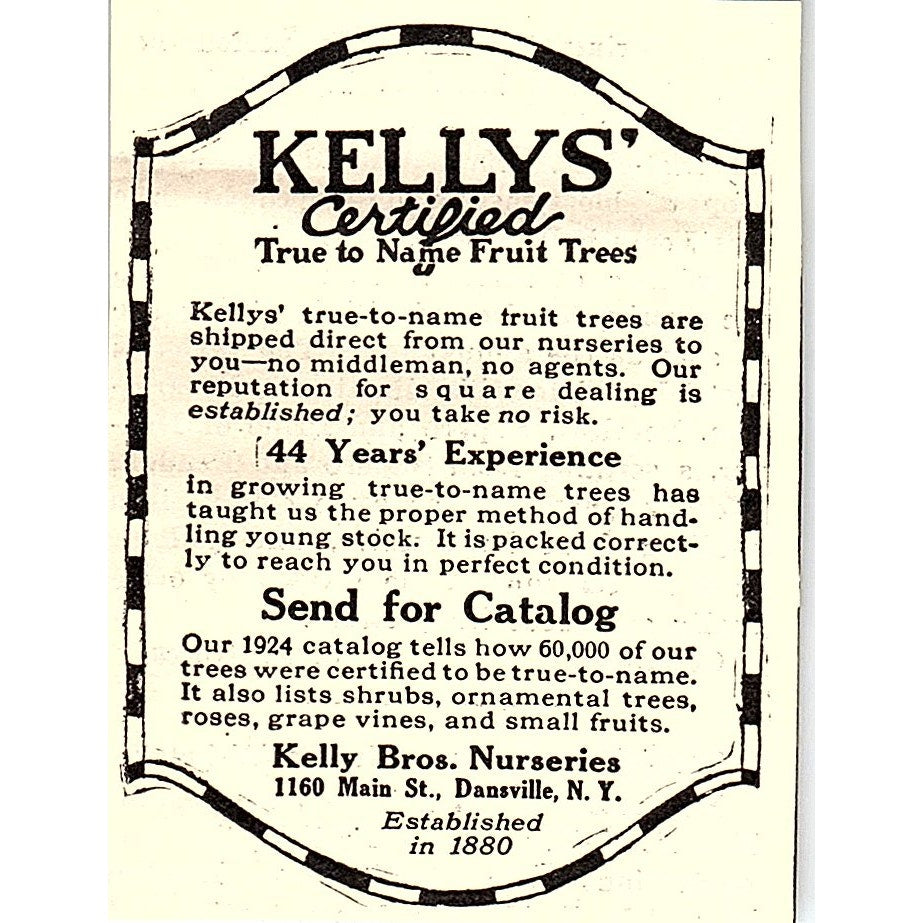 Kelly Bros. Nurseries Fruit Trees Dansville NY 1924 Ad AG3-S16