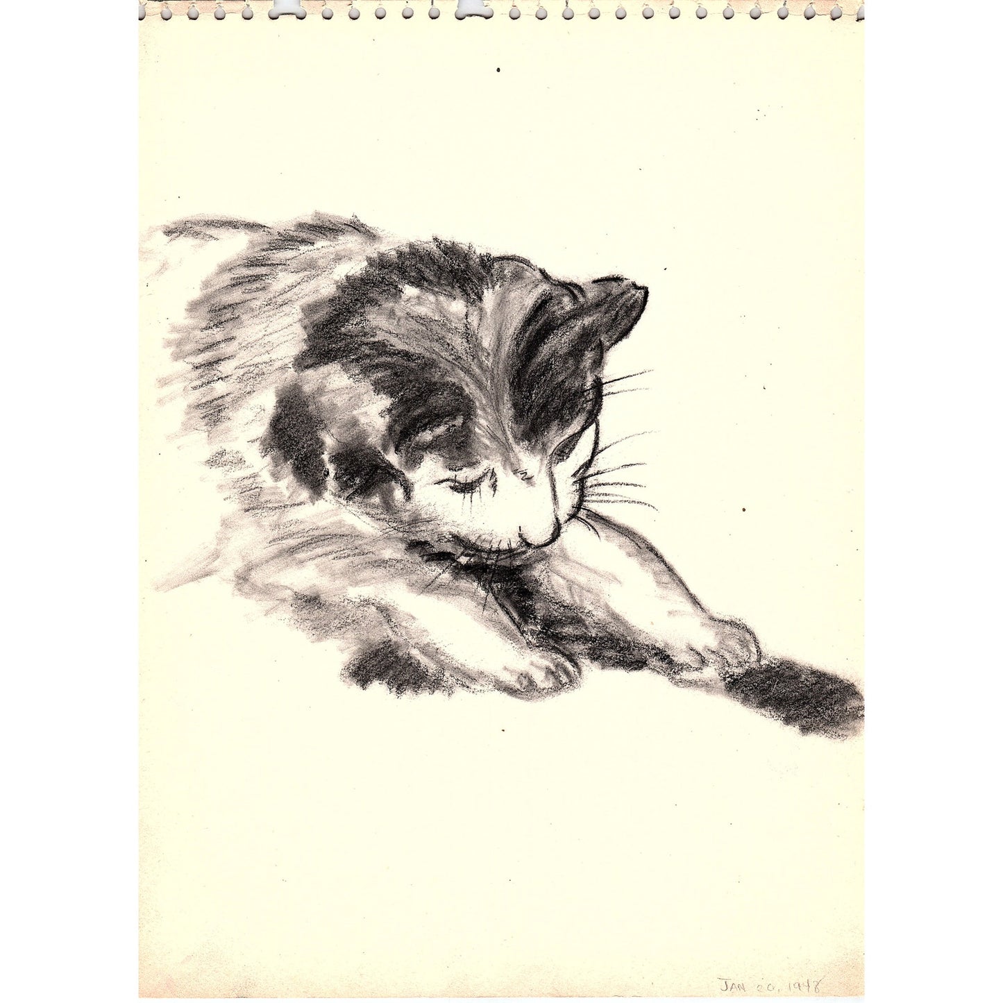 1940s Original Sketch of A Kitty Cat Kitten Winifred Schutsky D26-3