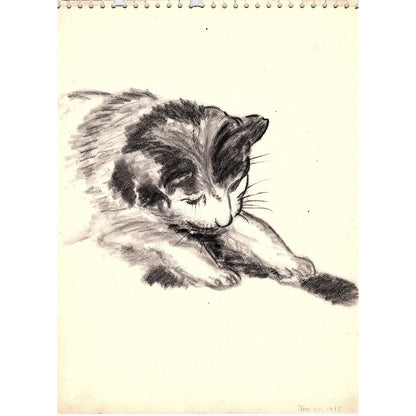 1940s Original Sketch of A Kitty Cat Kitten Winifred Schutsky D26-3