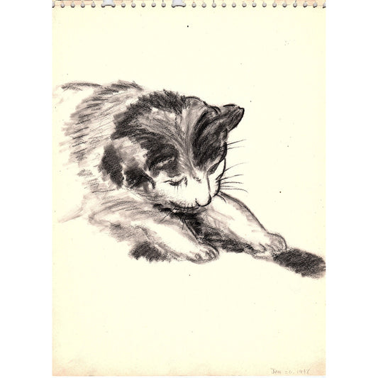 1940s Original Sketch of A Kitty Cat Kitten Winifred Schutsky D26-3
