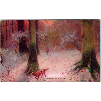 Pointer Bird Dog Hunting in Winter 1903 Postcard PD2