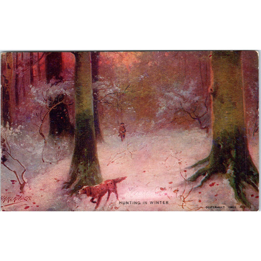 Pointer Bird Dog Hunting in Winter 1903 Postcard PD2
