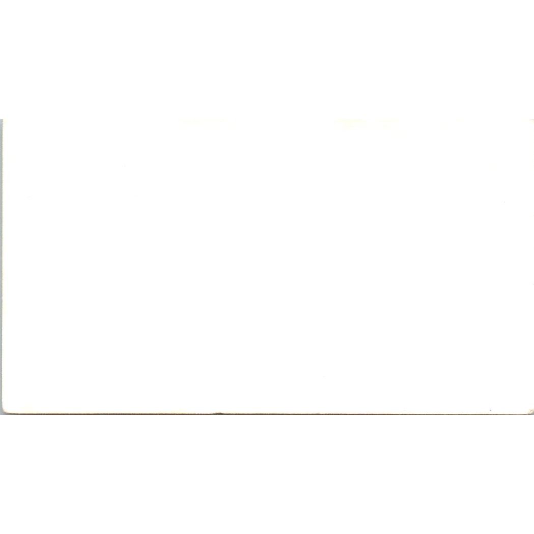 Irene Pugh Bookkeeping Houston TX Vintage Business Card SD8-B9