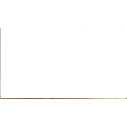 Irene Pugh Bookkeeping Houston TX Vintage Business Card SD8-B9