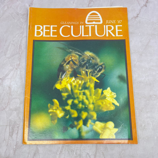 1987 June - Gleanings in Bee Culture Magazine - Bees Beekeeping Honey M33