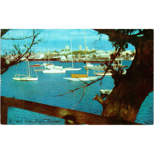 Red Hole Paget Bermuda Vintage Postcard PE3