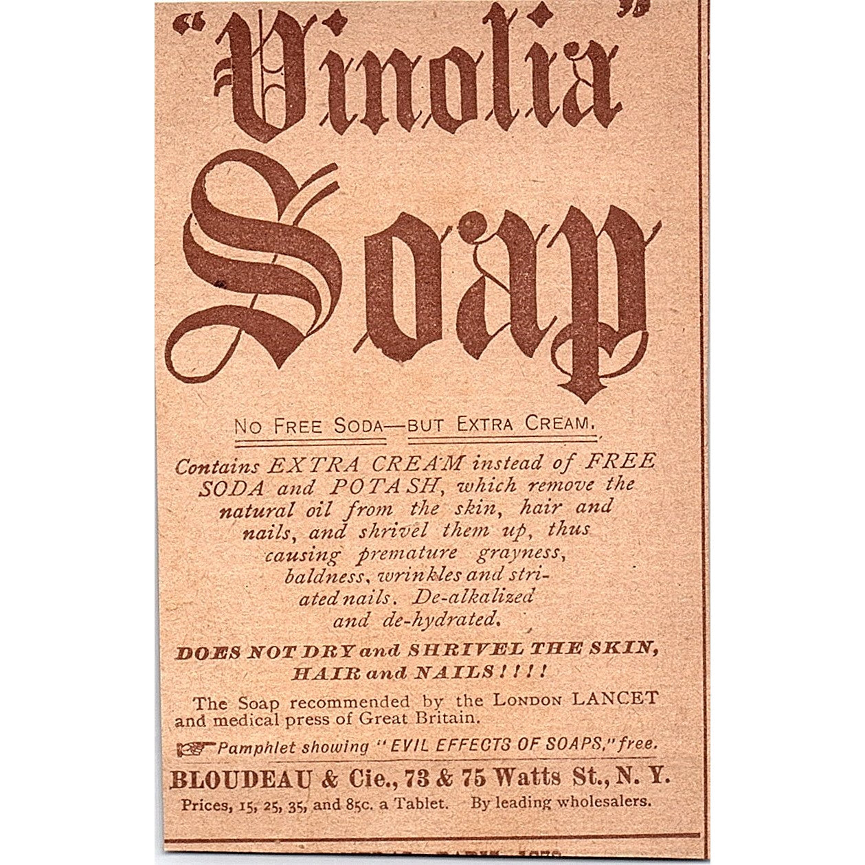 Vapo-Cresolene Asthma Remedy W.H. Schieffelin & Co NY 1892 Ad AG2-M11