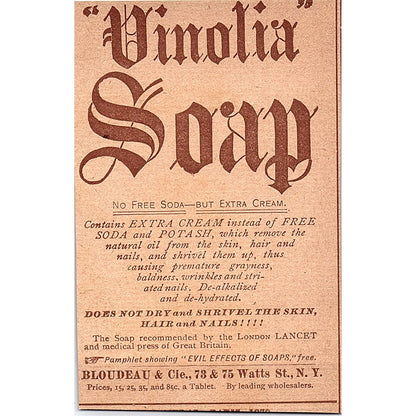 Vapo-Cresolene Asthma Remedy W.H. Schieffelin & Co NY 1892 Ad AG2-M11