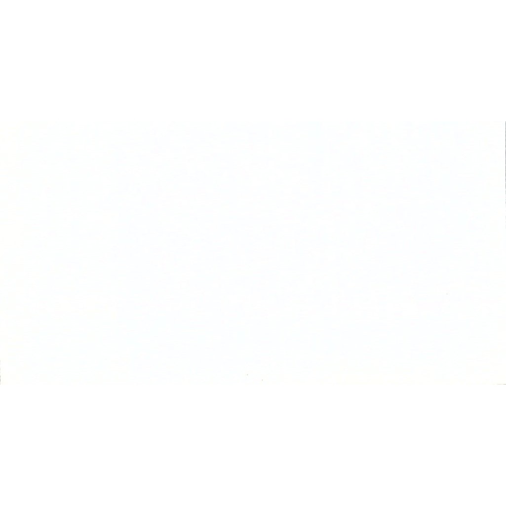 Allen & Estrella Wolfe American Canyon Scrapbooking Vintage Business Card SC9-B9