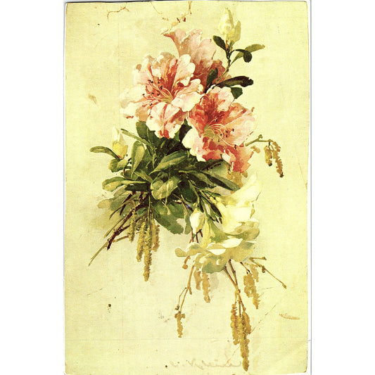 Catherine Klein Floral Pink and White Flower Vintage Art Print 6.5x10 V8