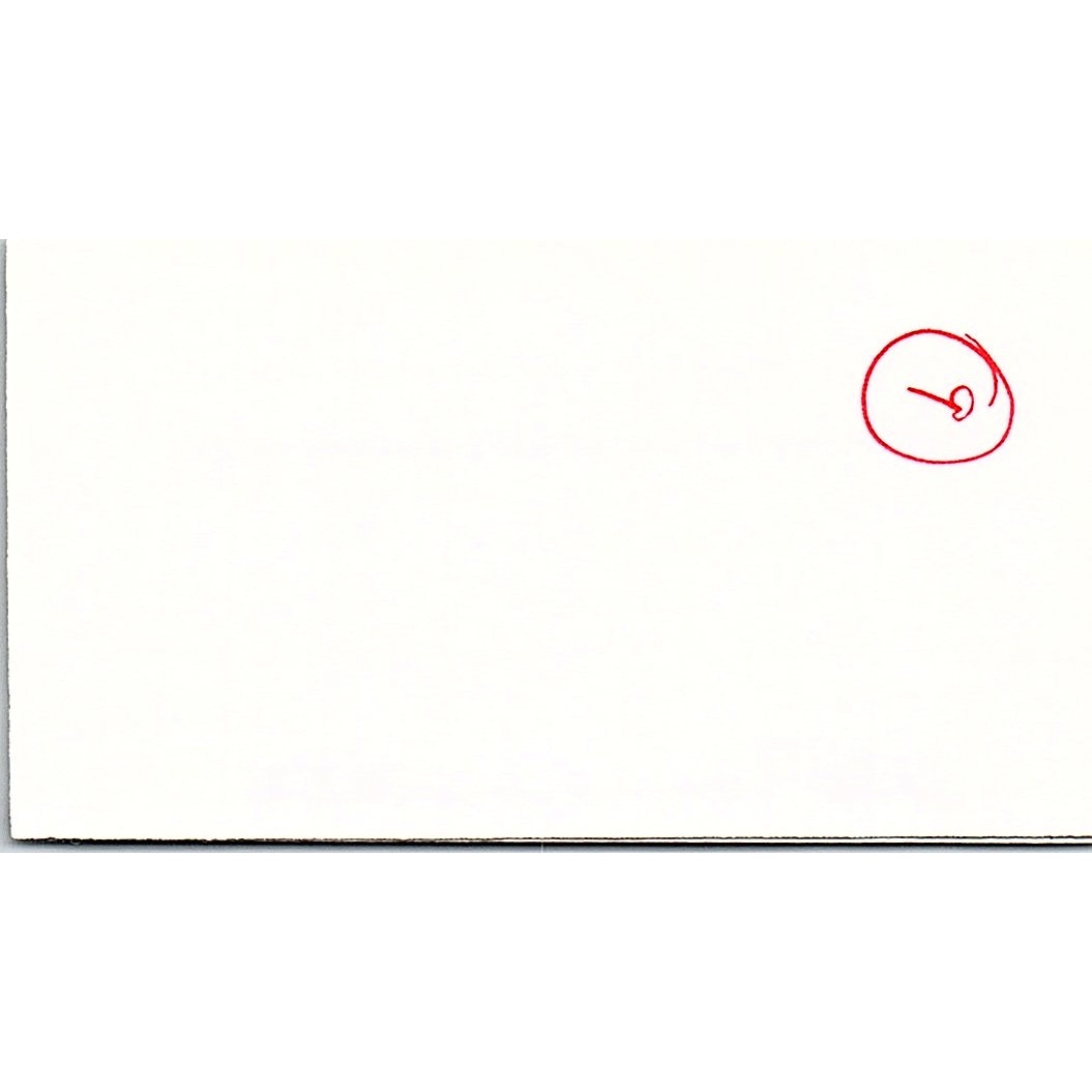 Tami Floyd Picture Perfect Littleton CO Vintage Business Card SC9-B11