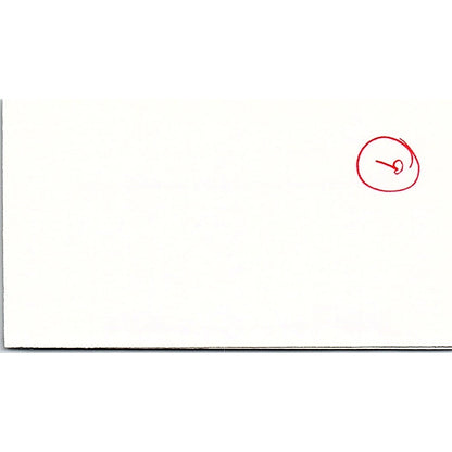 Tami Floyd Picture Perfect Littleton CO Vintage Business Card SC9-B11