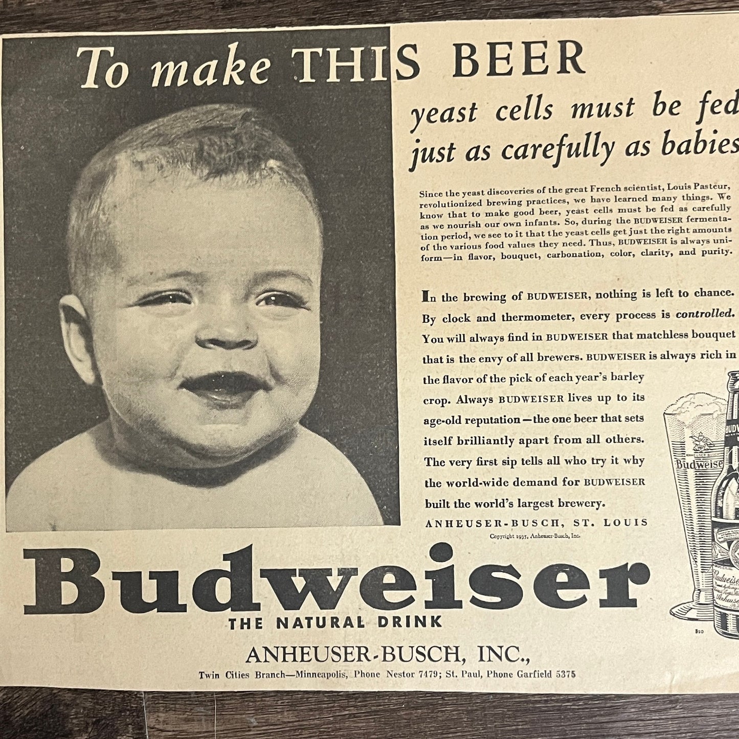Budweiser Yeast Cells Must Be Fed As Carefully as Babies 1935 Newspaper Ad V1-9