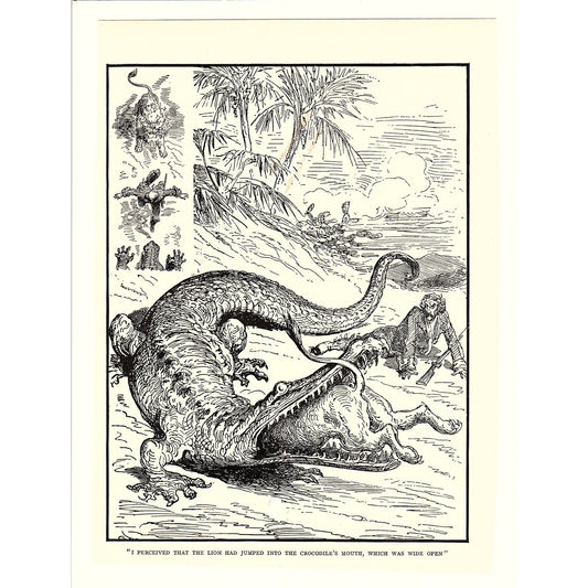 Adventures of Baron von Munchausen Lion in Crocodile's Mouth Art Print 7x9" V17