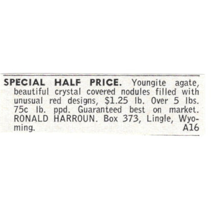 Ronald Harroun Youngite Agate Lingle Wyoming 1964 Magazine Ad AB6-LJS7