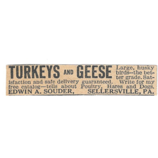 Edwin A Souder Turkeys and Geese Sellersville PA 1920 Ad AG2-S9
