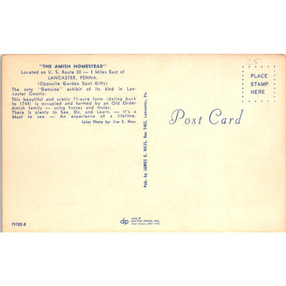 Horse & Buggy Amish Homestead Lancaster PA Dutch Country Vintage Postcard PD5