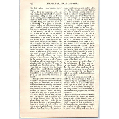 Sea-Island Magic Herons Herbert Ravenel Sass 5 Page 1924 Magazine Article D23