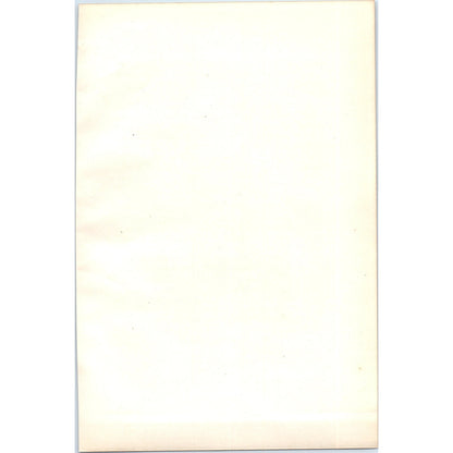 Grey Phalarope Bird 1903 Original Color Engraving Plate Print AD8-B7