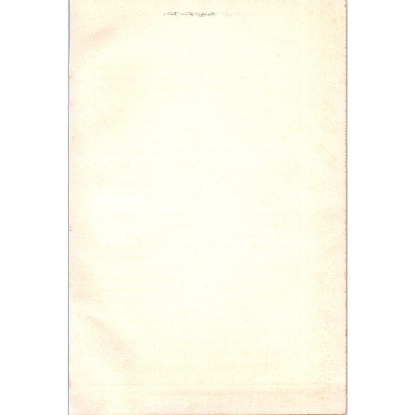 The Palace of Blenheim England 1901 Original Print AD8-H8
