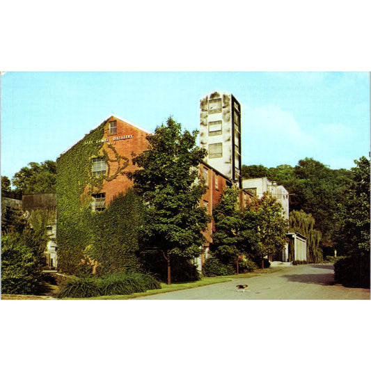 Jack Daniel's Hollow Lynchburg Tennessee Vintage Postcard PD5