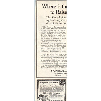 Cotton Belt Route AR TX E.W LaBeaume St Louis 1913 Magazine Advertisement AE7-N7