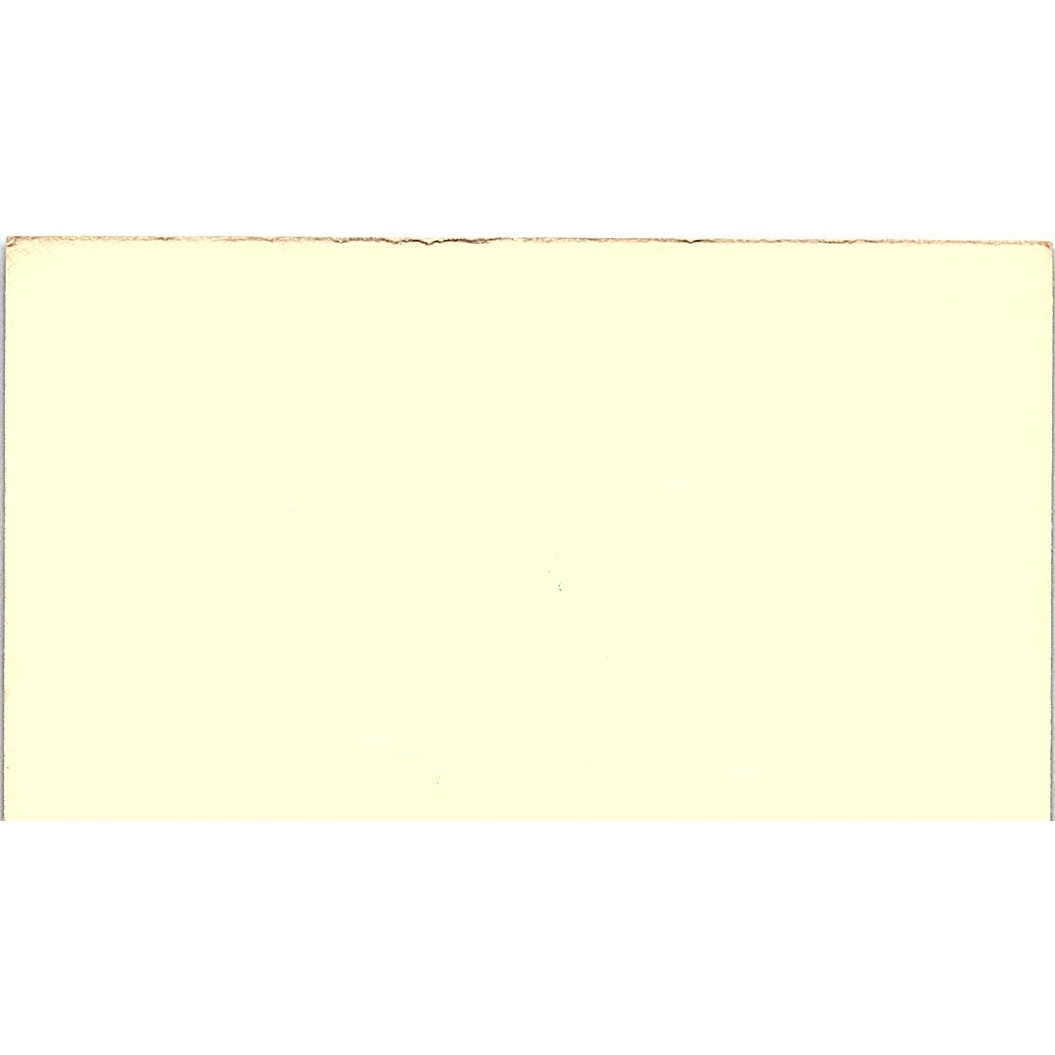 Cakes By Eileen Hamala Bakery Houston Vintage Business Card SD9-B6